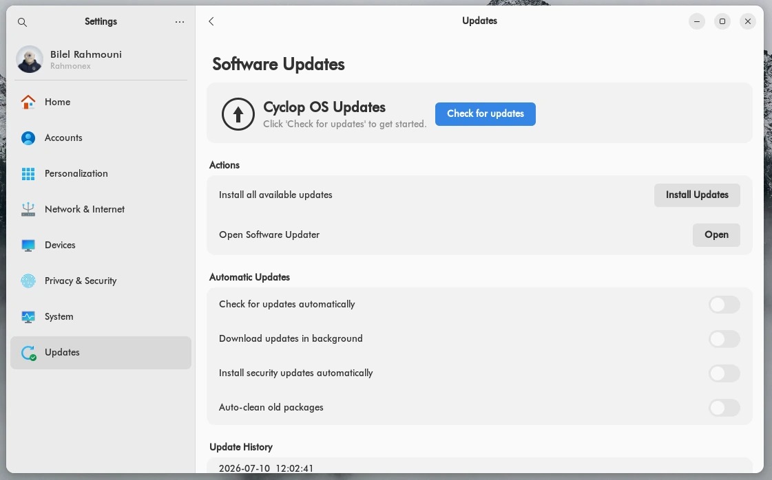 The Updates panel in Settings